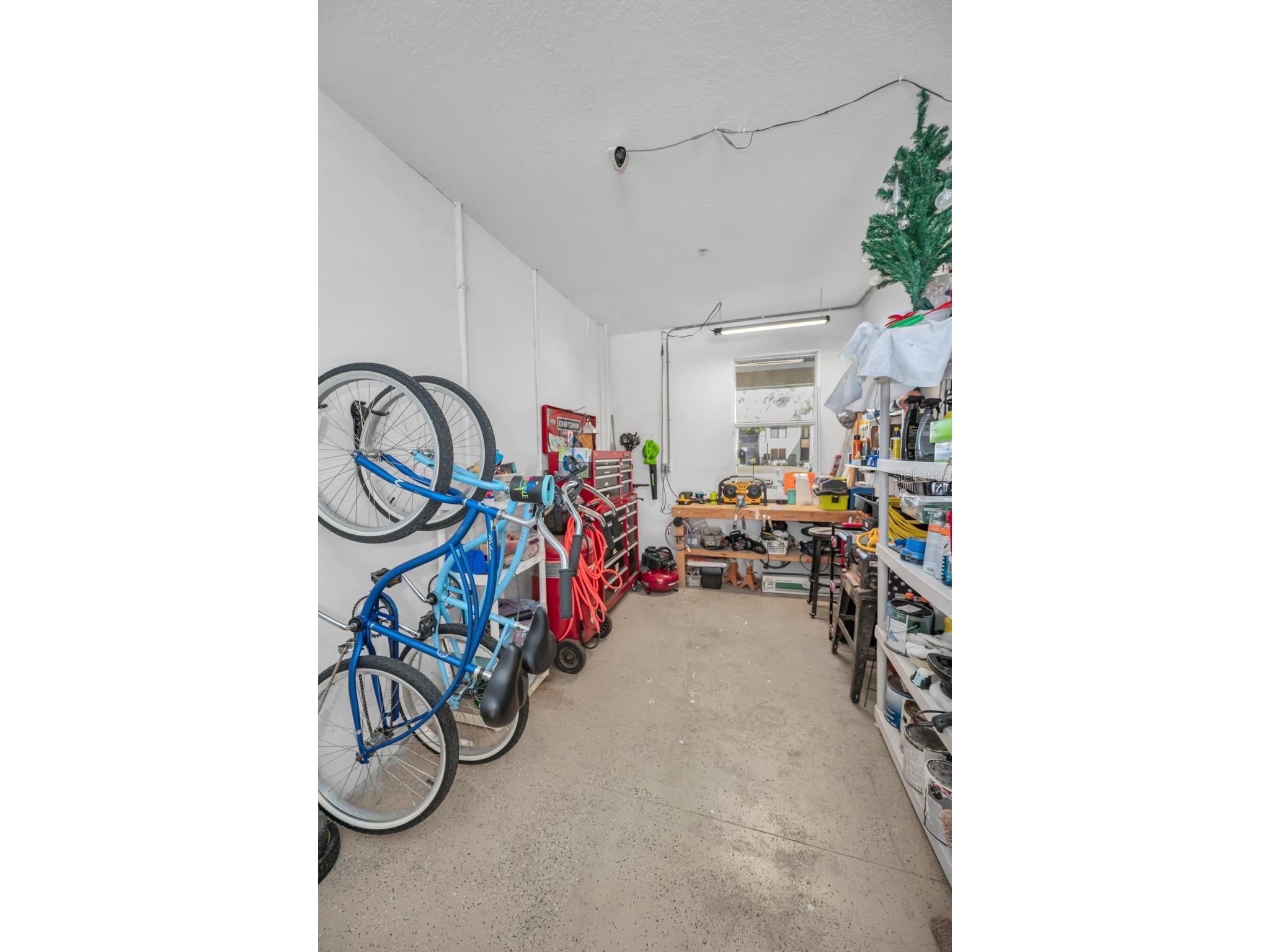 842 Callista Cay Loop Tarpon Springs FL 34689 TB8446984 image31