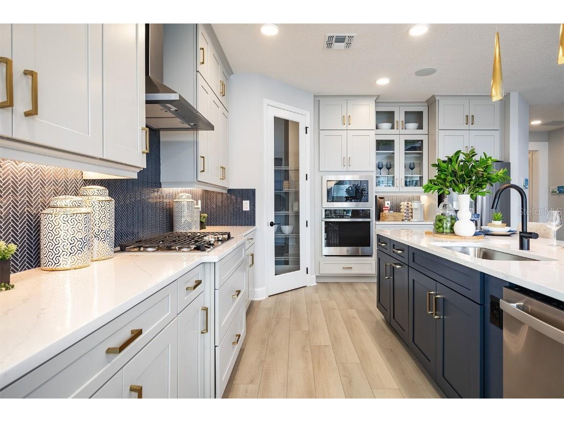 842 Creeping Fig Street Apopka FL 32703 O6315003 image2