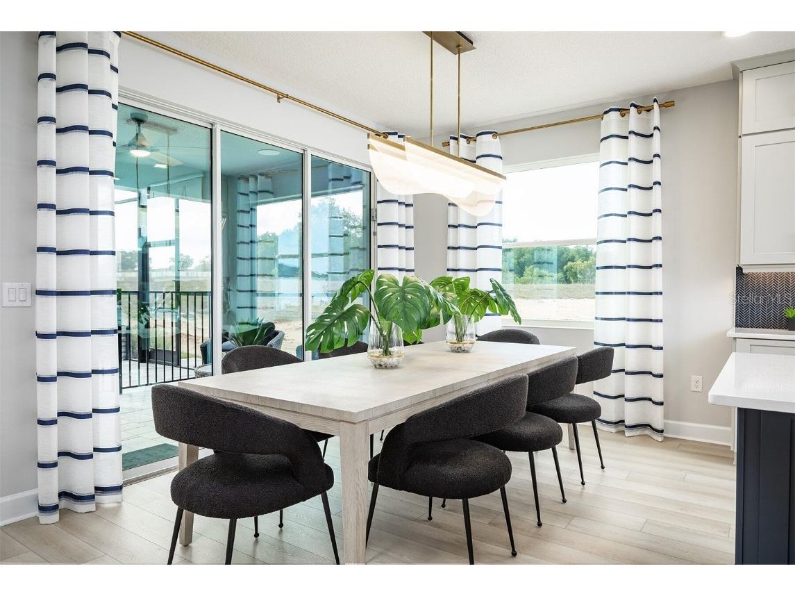 842 Creeping Fig Street Apopka FL 32703 O6315003 image5