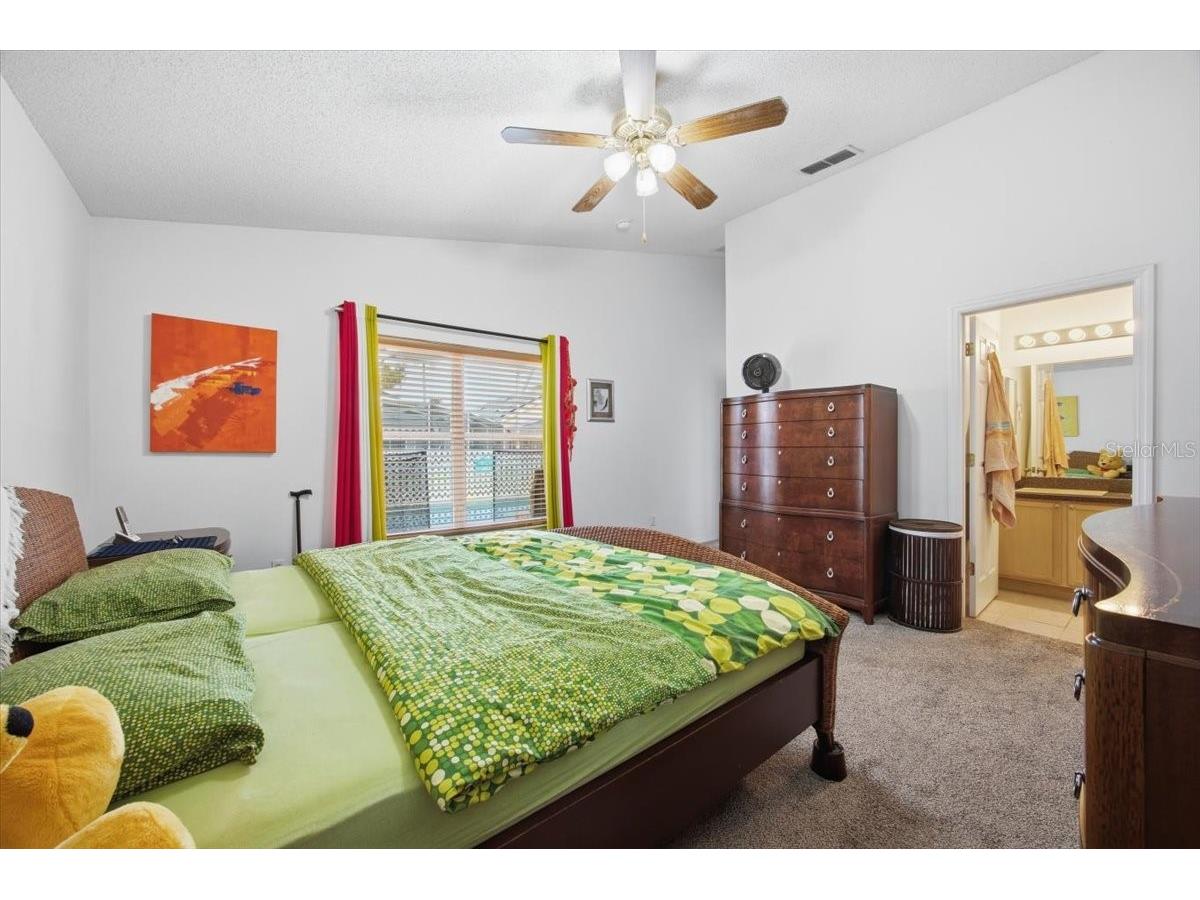 842 Lockbreeze Drive Davenport FL 33897 TB8516176 image22