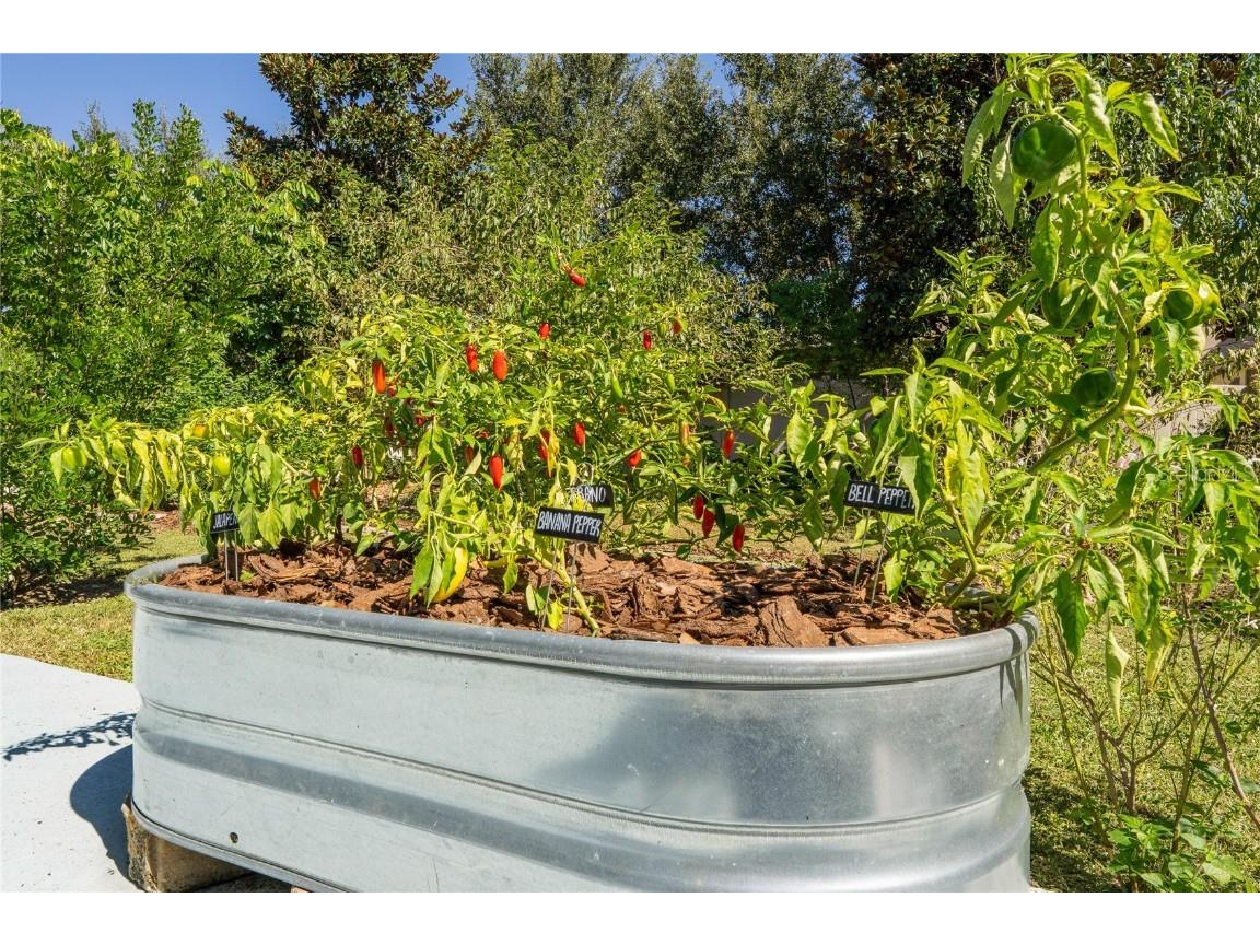 842 Oxbow Road Minneola FL 34715 O6355819 image44