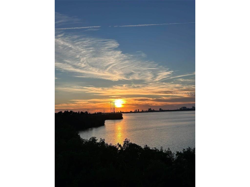 842 Tennyson Mill Circle Tampa FL 33619 - TAMPA BYPASS CANAL / MCKAY BAY TB8460441 image15