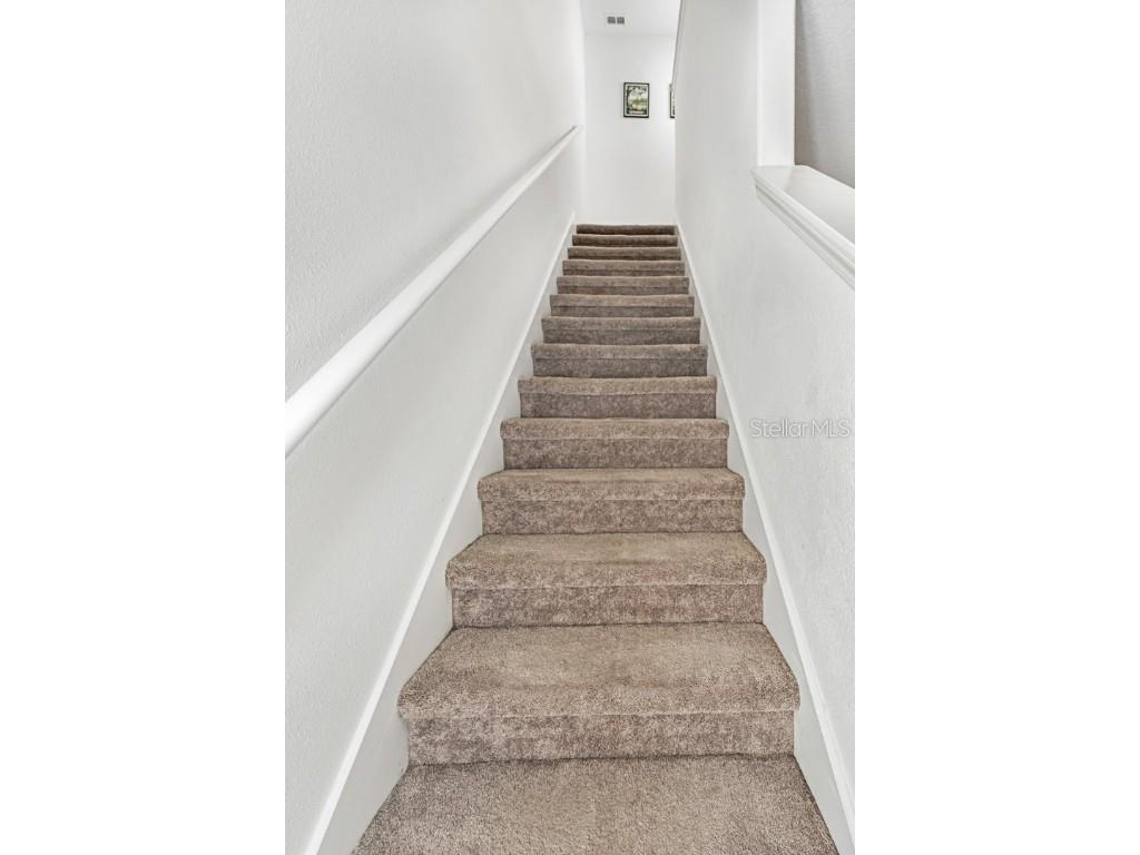 842 Tennyson Mill Circle Tampa FL 33619 - TAMPA BYPASS CANAL / MCKAY BAY TB8460441 image18