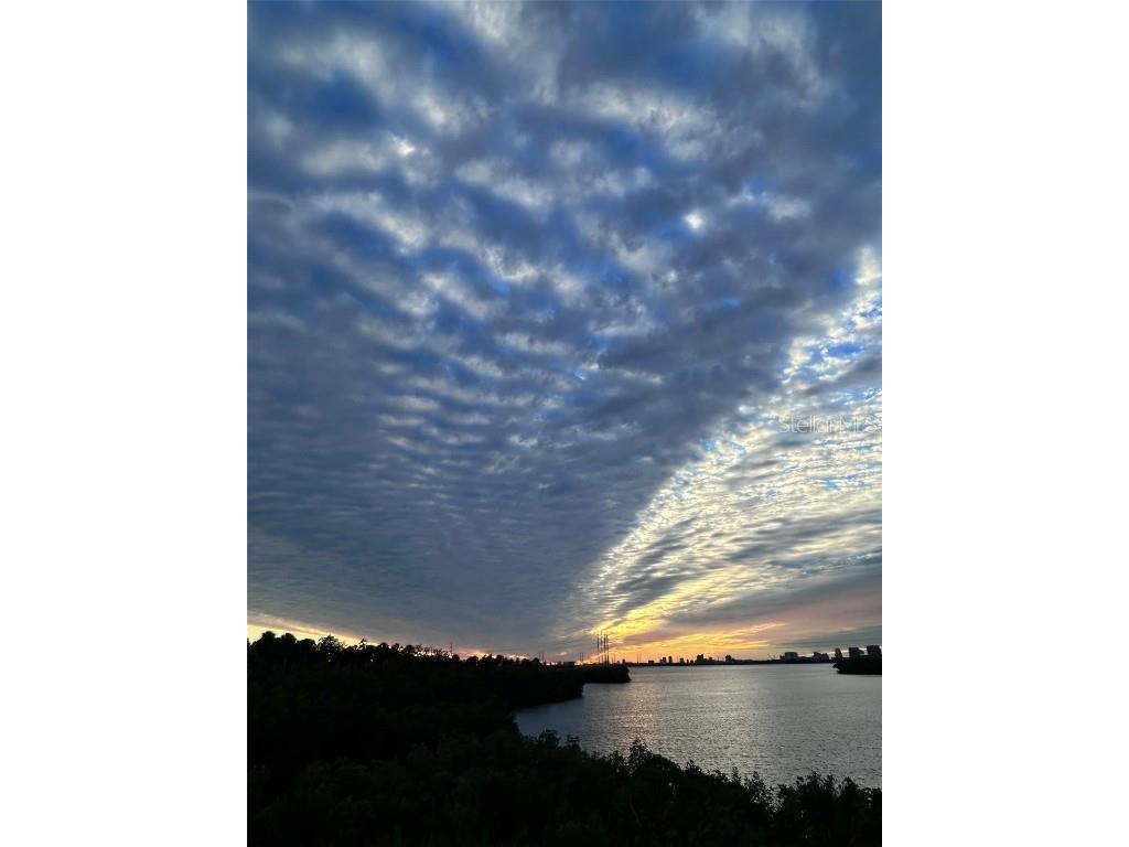 842 Tennyson Mill Circle Tampa FL 33619 - TAMPA BYPASS CANAL / MCKAY BAY TB8460441 image19