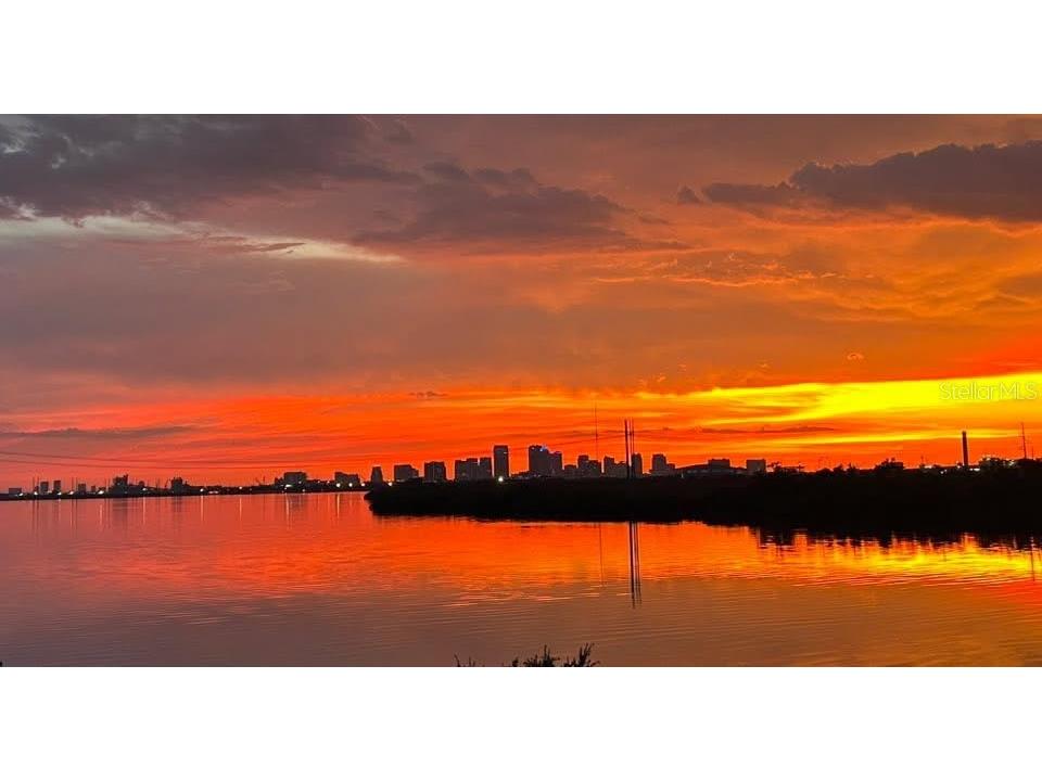 842 Tennyson Mill Circle Tampa FL 33619 - TAMPA BYPASS CANAL / MCKAY BAY TB8460441 image3