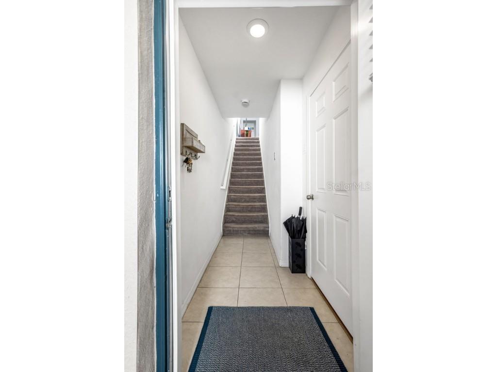 842 Tennyson Mill Circle Tampa FL 33619 - TAMPA BYPASS CANAL / MCKAY BAY TB8460441 image34