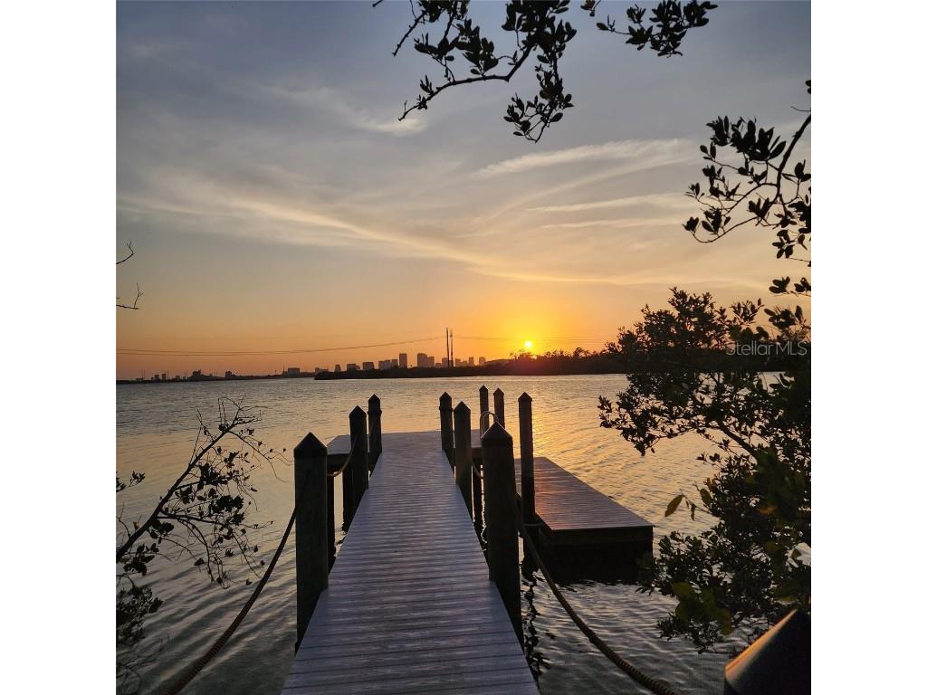 842 Tennyson Mill Circle Tampa FL 33619 - TAMPA BYPASS CANAL / MCKAY BAY TB8460441 image36