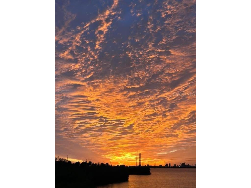 842 Tennyson Mill Circle Tampa FL 33619 - TAMPA BYPASS CANAL / MCKAY BAY TB8460441 image39