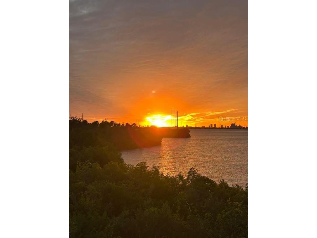 842 Tennyson Mill Circle Tampa FL 33619 - TAMPA BYPASS CANAL / MCKAY BAY TB8460441 image46