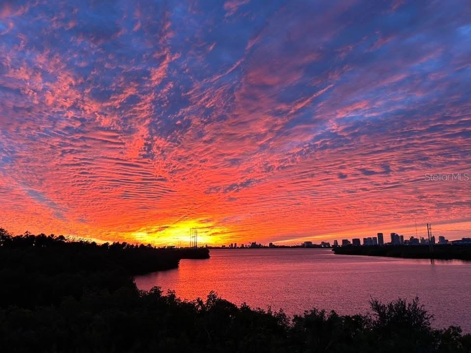 842 Tennyson Mill Circle Tampa FL 33619 - TAMPA BYPASS CANAL / MCKAY BAY TB8460441 image7