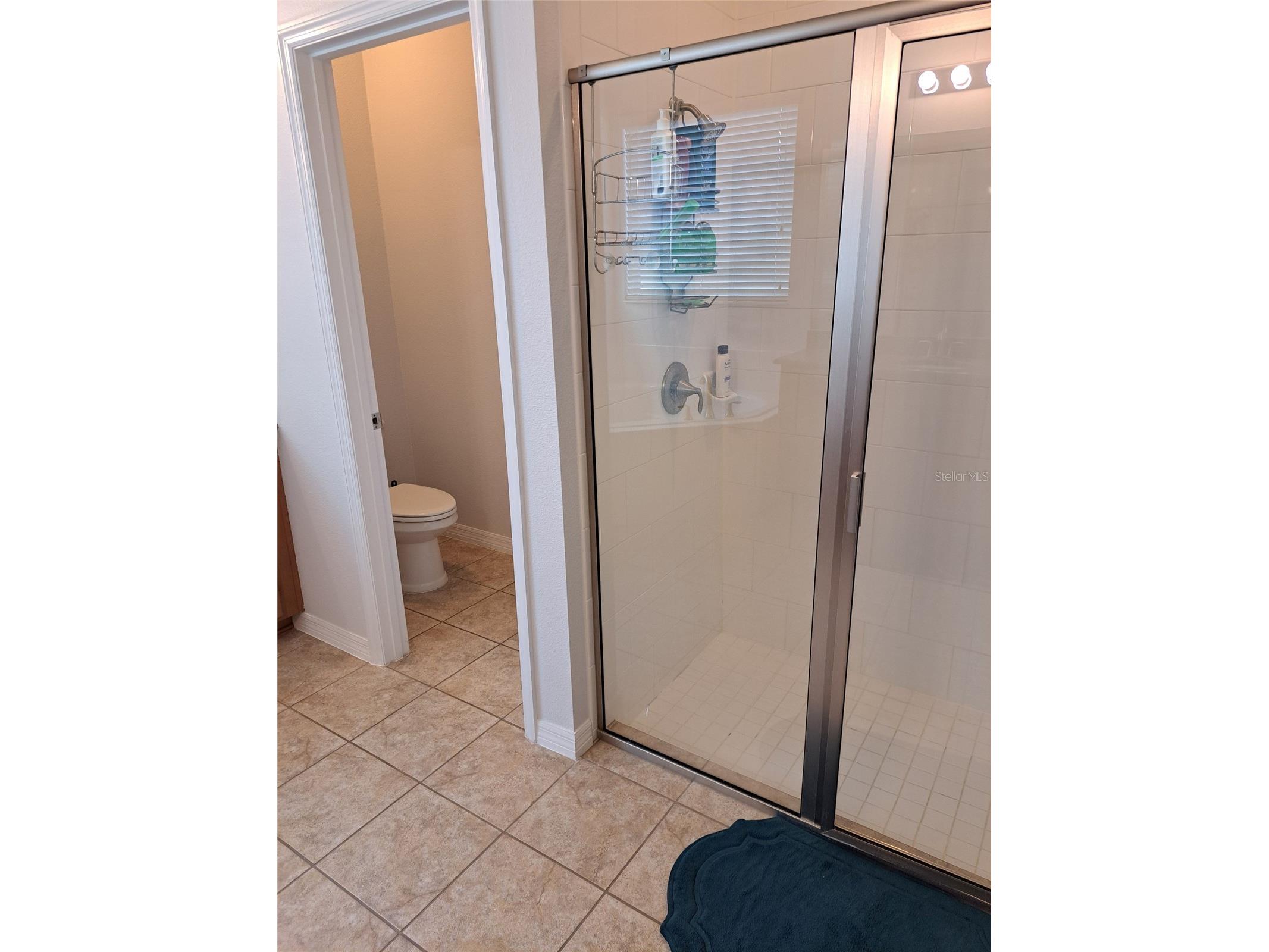 8420 Morehouse Drive Orlando FL 32836 O6409586 image16