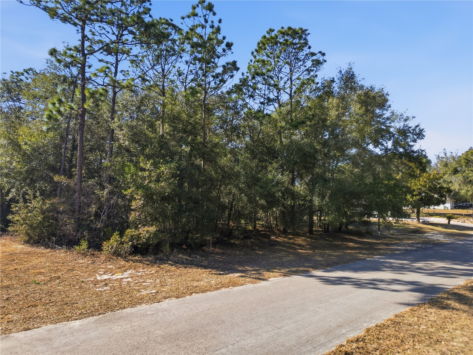 8420 N Foresome Way Citrus Springs FL 34434 TB8473893 image10