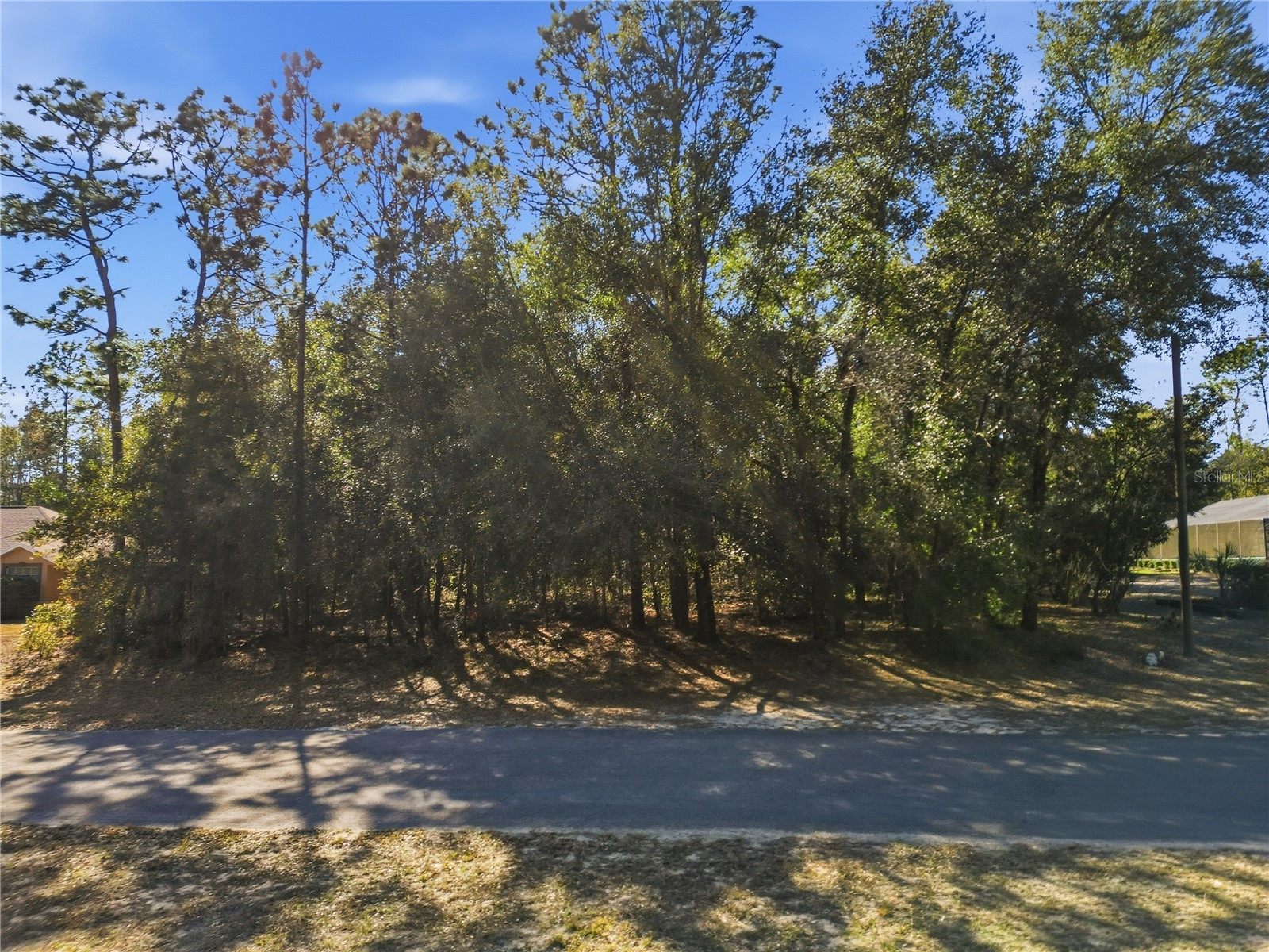 8420 N Foresome Way Citrus Springs FL 34434 TB8473893 image2