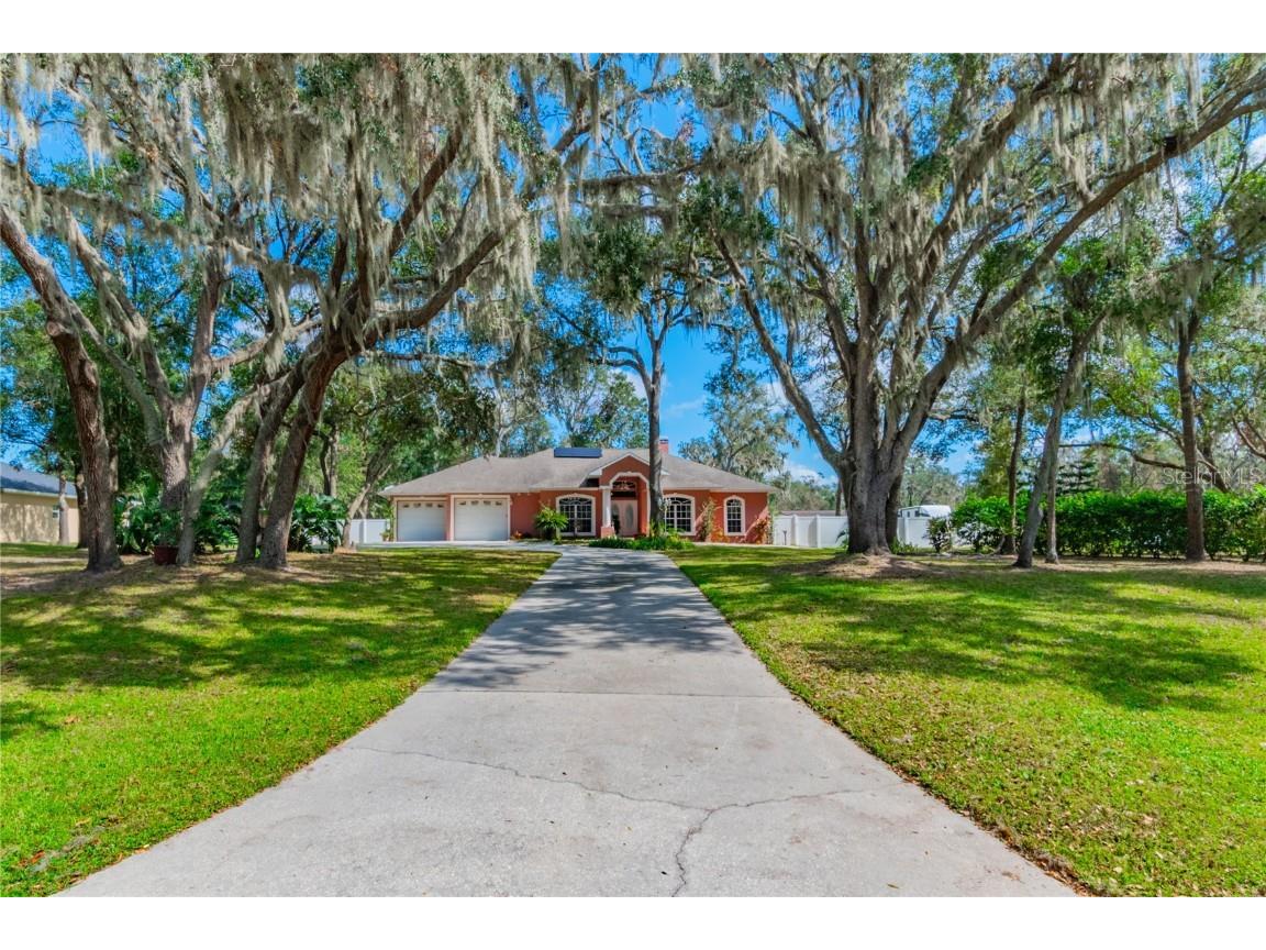 8420 Southwood Pines Street Lithia FL 33547 TB8313788 image1