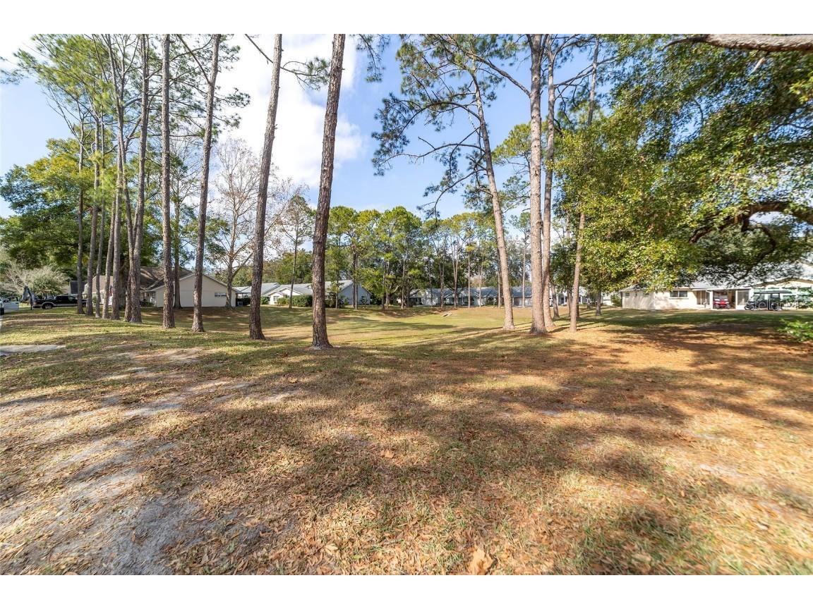 8420 SW 93 Lane #E Ocala FL 34481 OM702756 image34