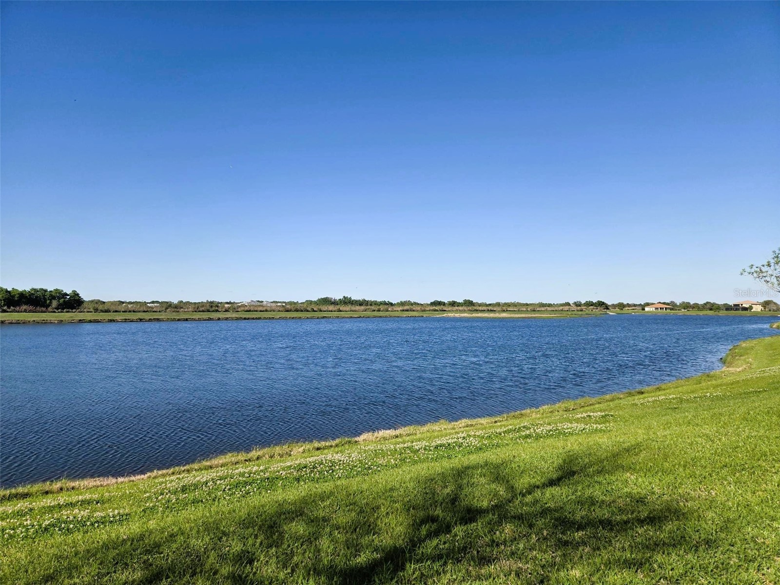 8420 Webber Road Sarasota FL 34240 A4687127 image10