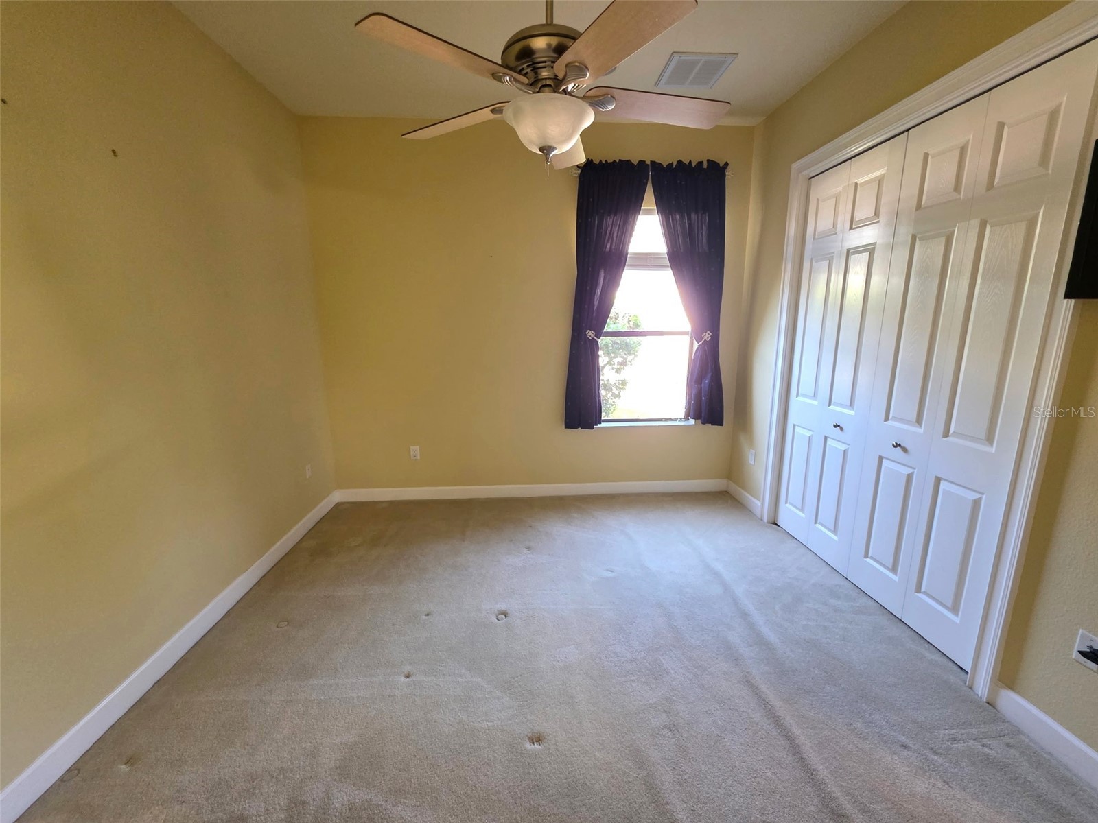 8421 Charleston Drive Weeki Wachee FL 34613 W7883955 image13