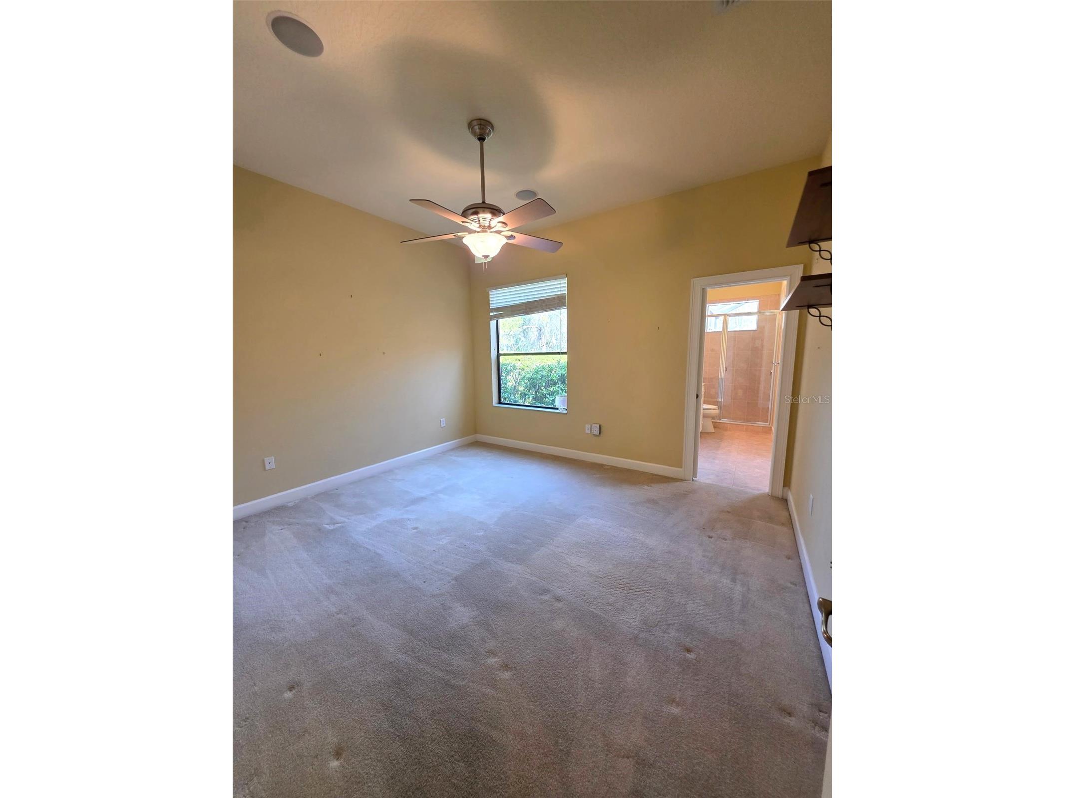 8421 Charleston Drive Weeki Wachee FL 34613 W7883955 image16