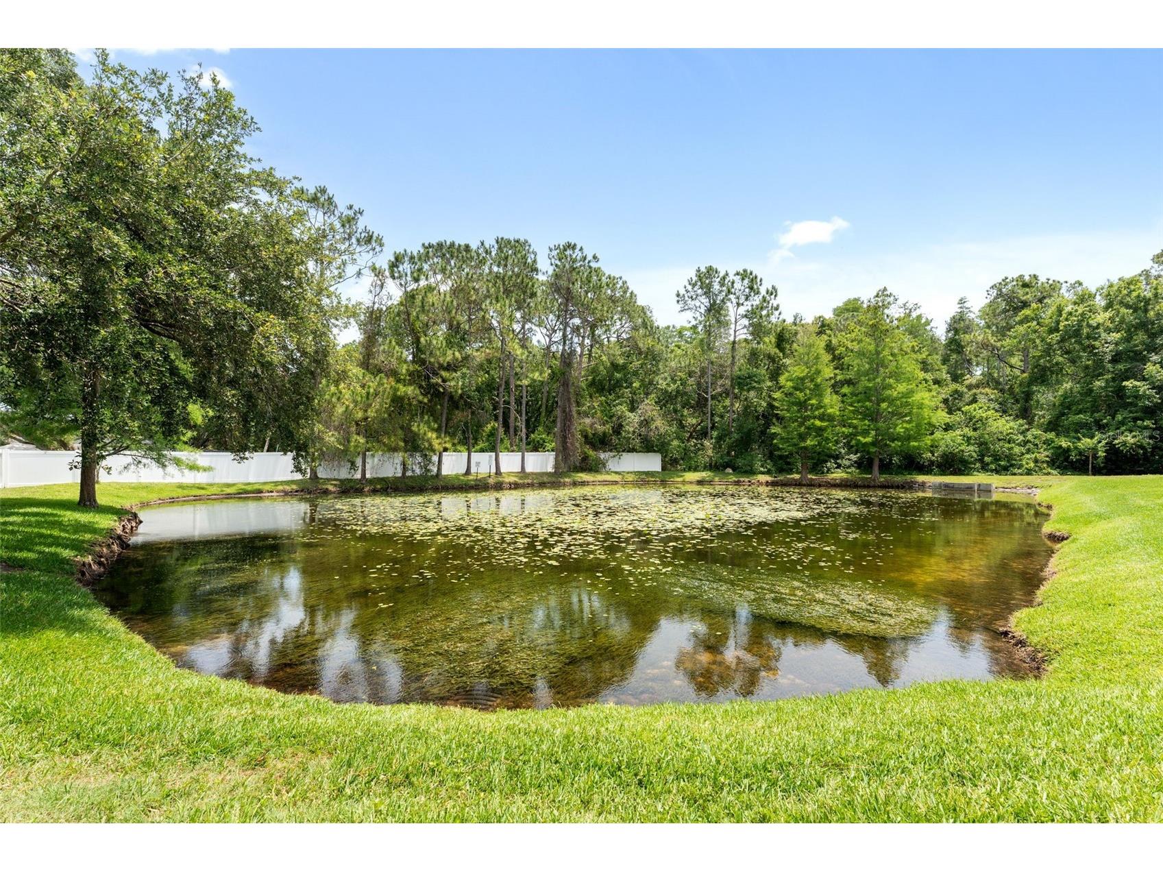 8421 Edgewater Place Boulevard Tampa FL 33615 TB8507628 image27