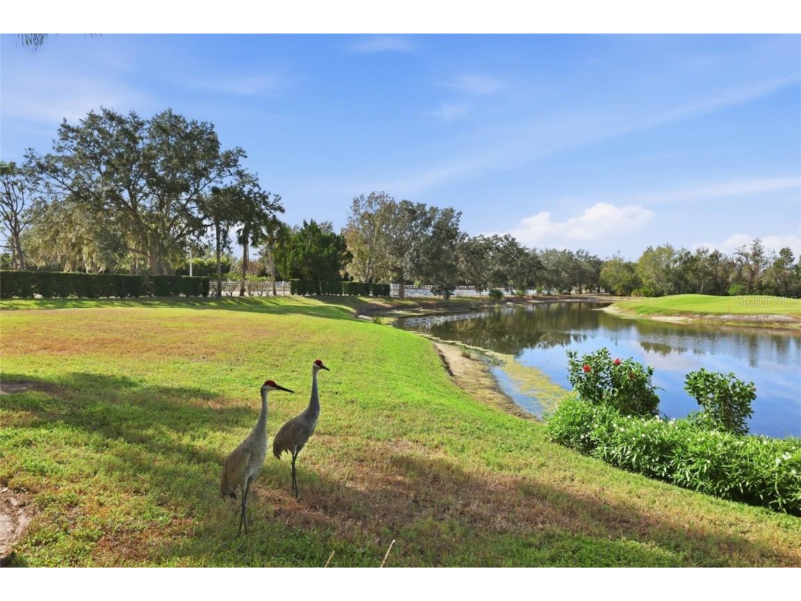 8422 Wethersfield Run #104 Lakewood Ranch FL 34202 A4674557 image27