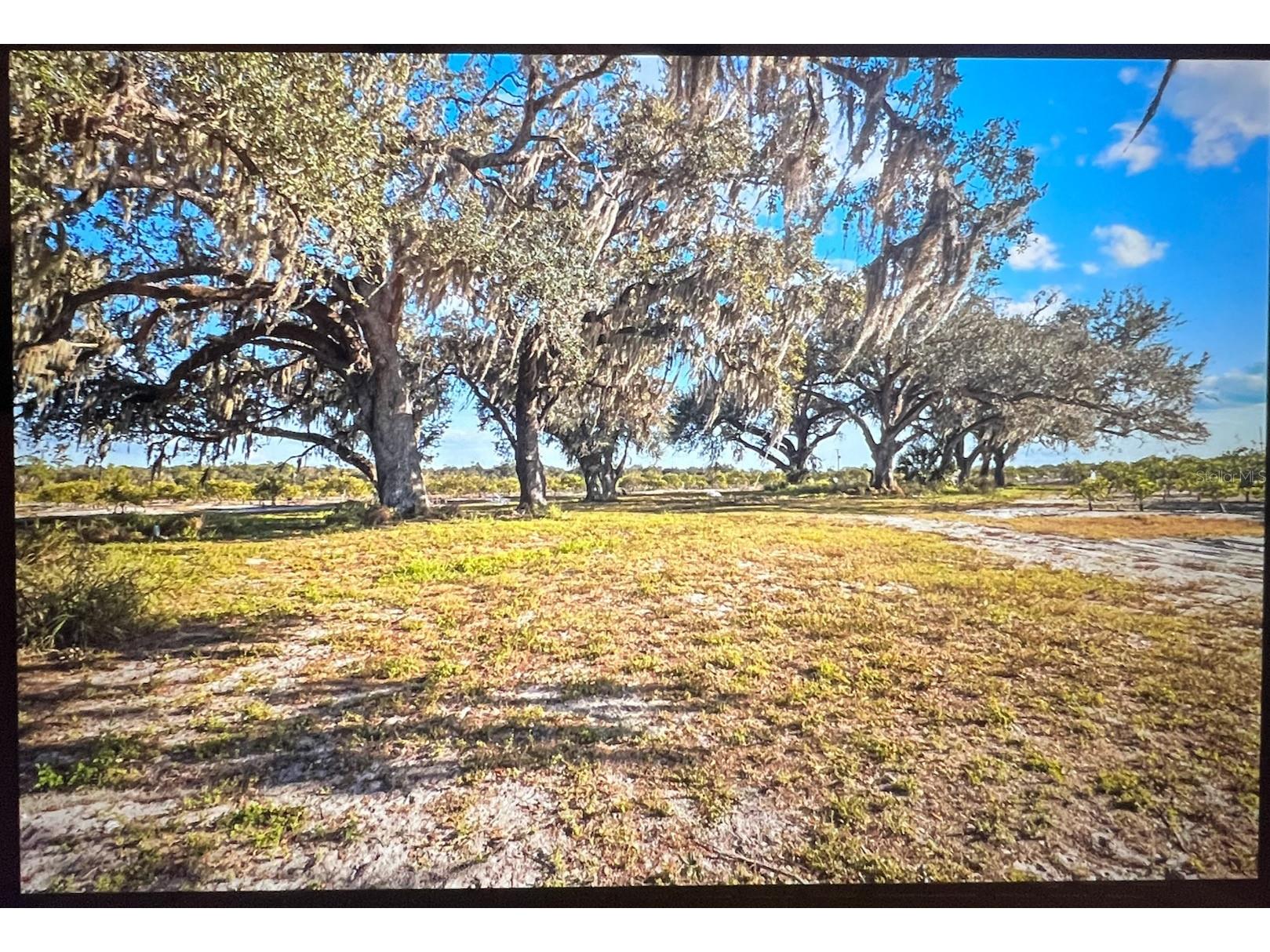 8423 NW Pine Level Street Arcadia FL 34266 A4684454 image17
