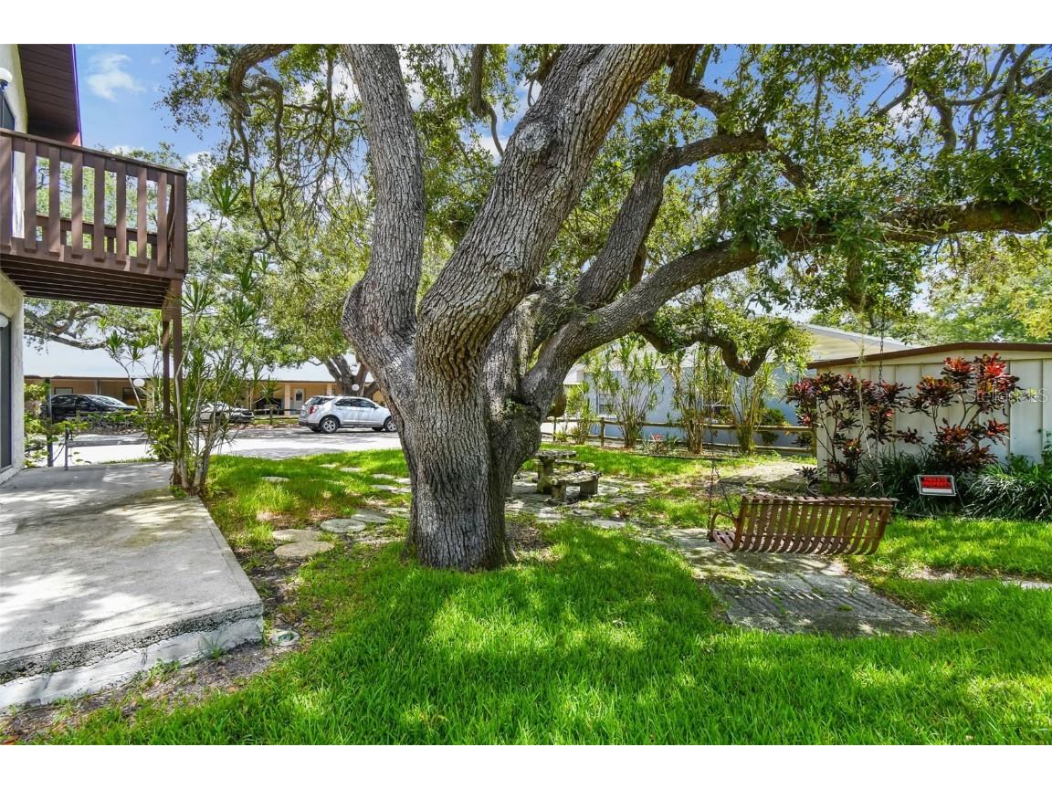 8423 Seminole Boulevard #103 Seminole FL 33772 TB8430589 image52