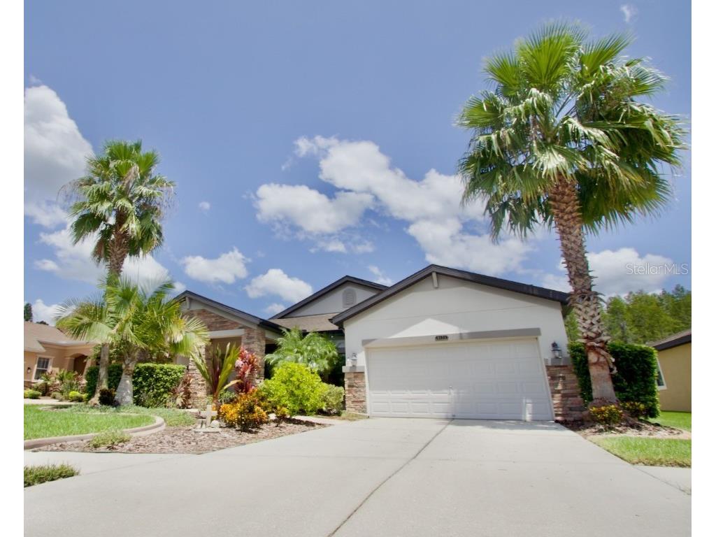 8424 Bluevine Sky Drive Land O Lakes FL 34637 W7871738 image1