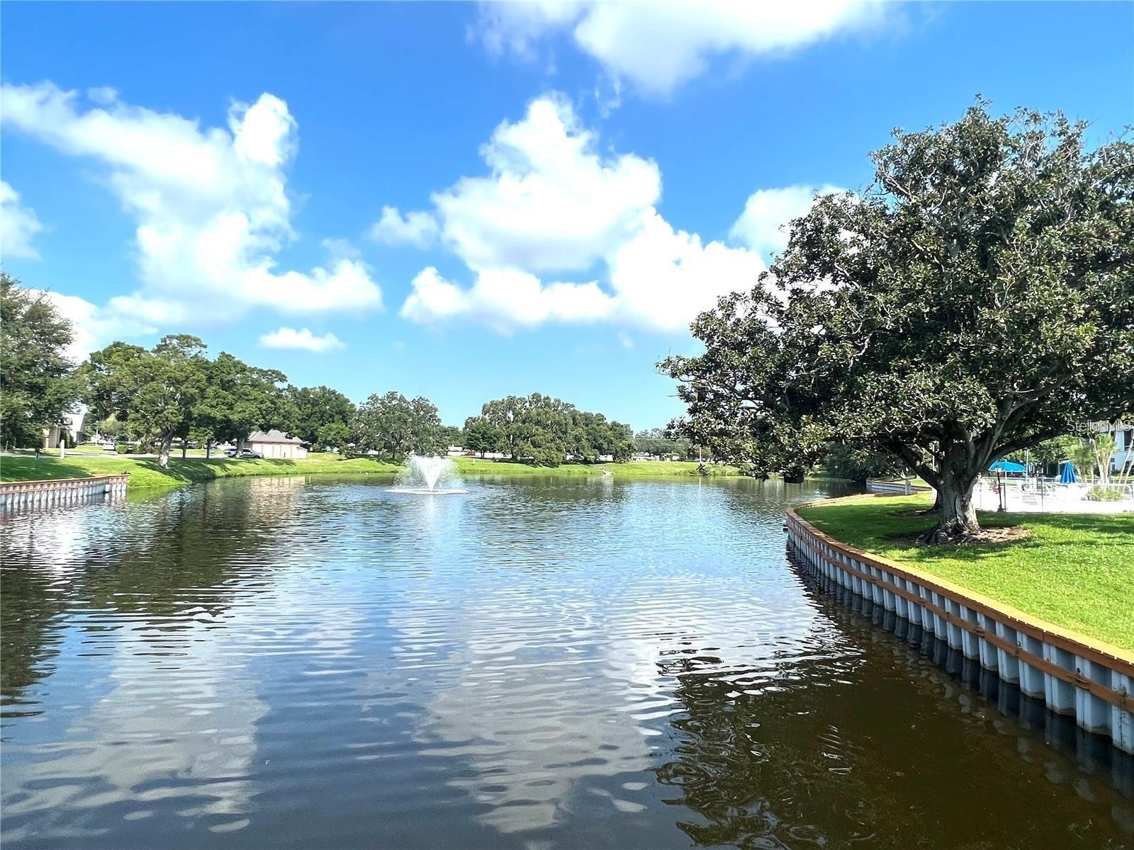 8425 112th Street #104 Seminole FL 33772 TB8497599 image24