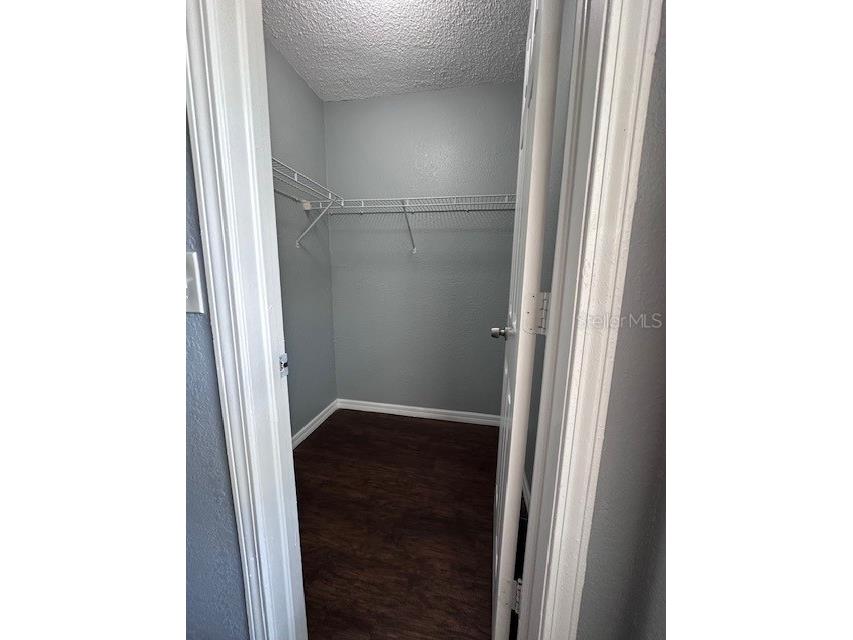 8425 Camden Street #C Tampa FL 33614 TB8481575 image10