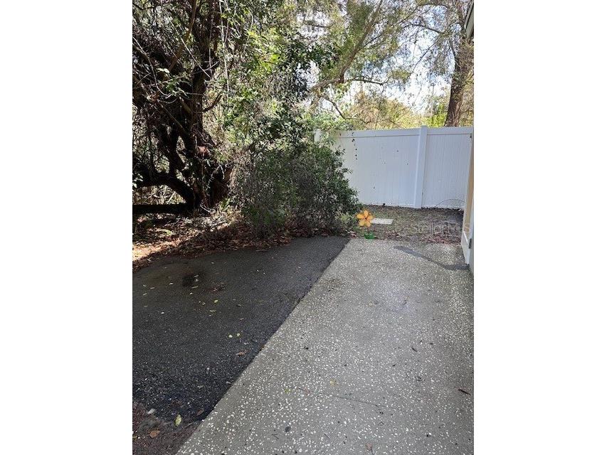 8425 Camden Street #C Tampa FL 33614 TB8481575 image16