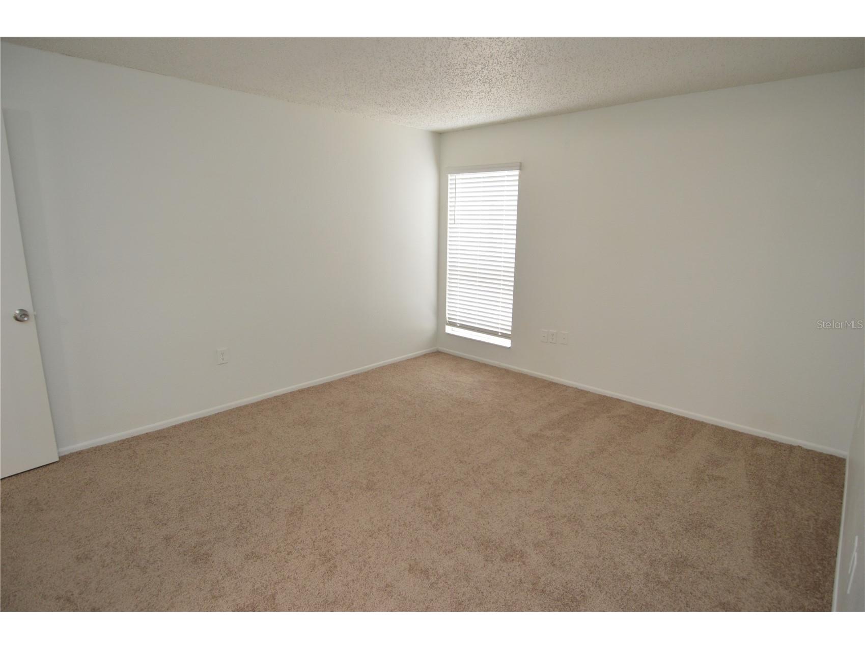 8425 Cerro Circle #163 Tampa FL 33617 TB8496675 image28