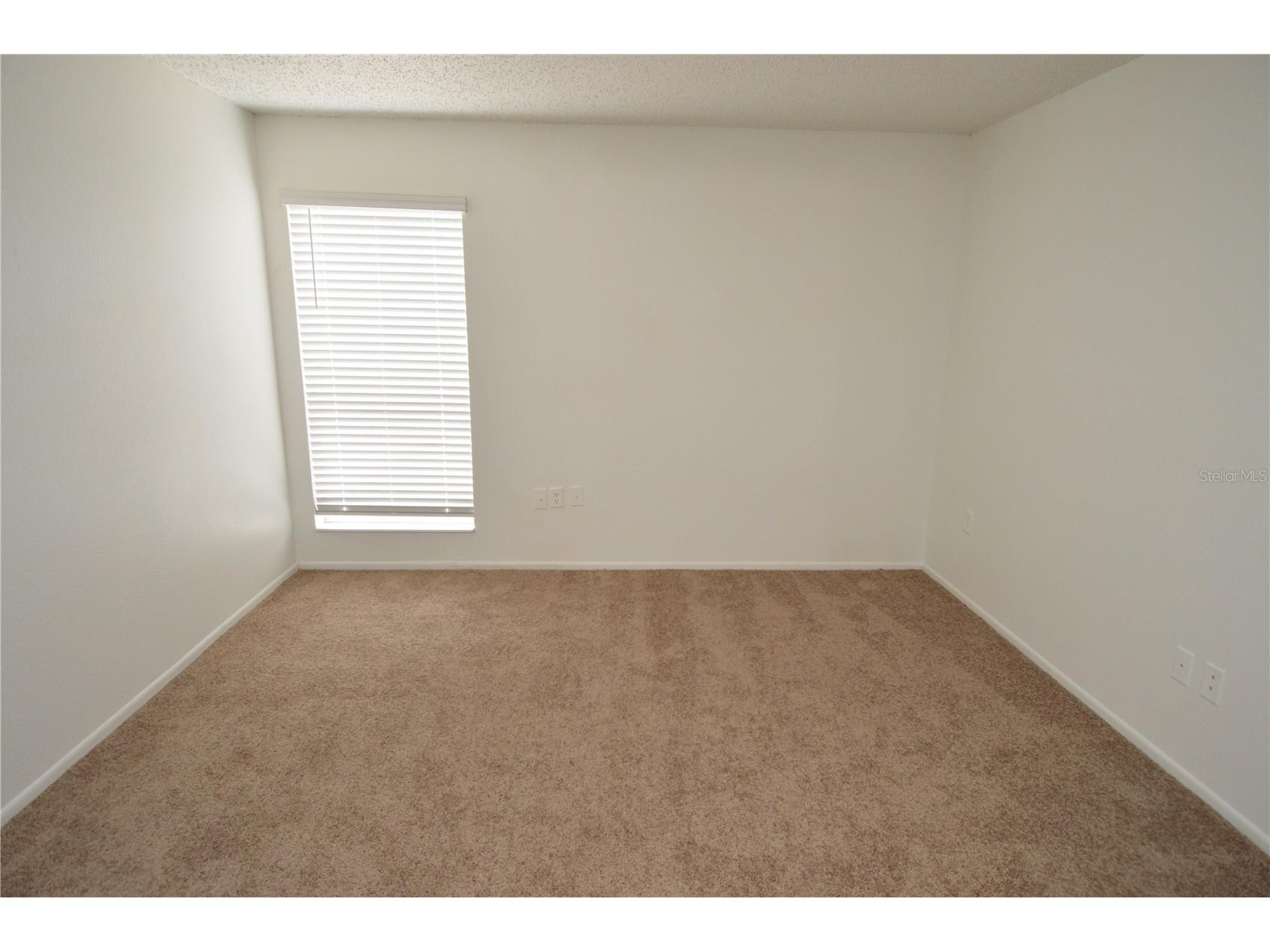 8425 Cerro Circle #163 Tampa FL 33617 TB8496675 image29