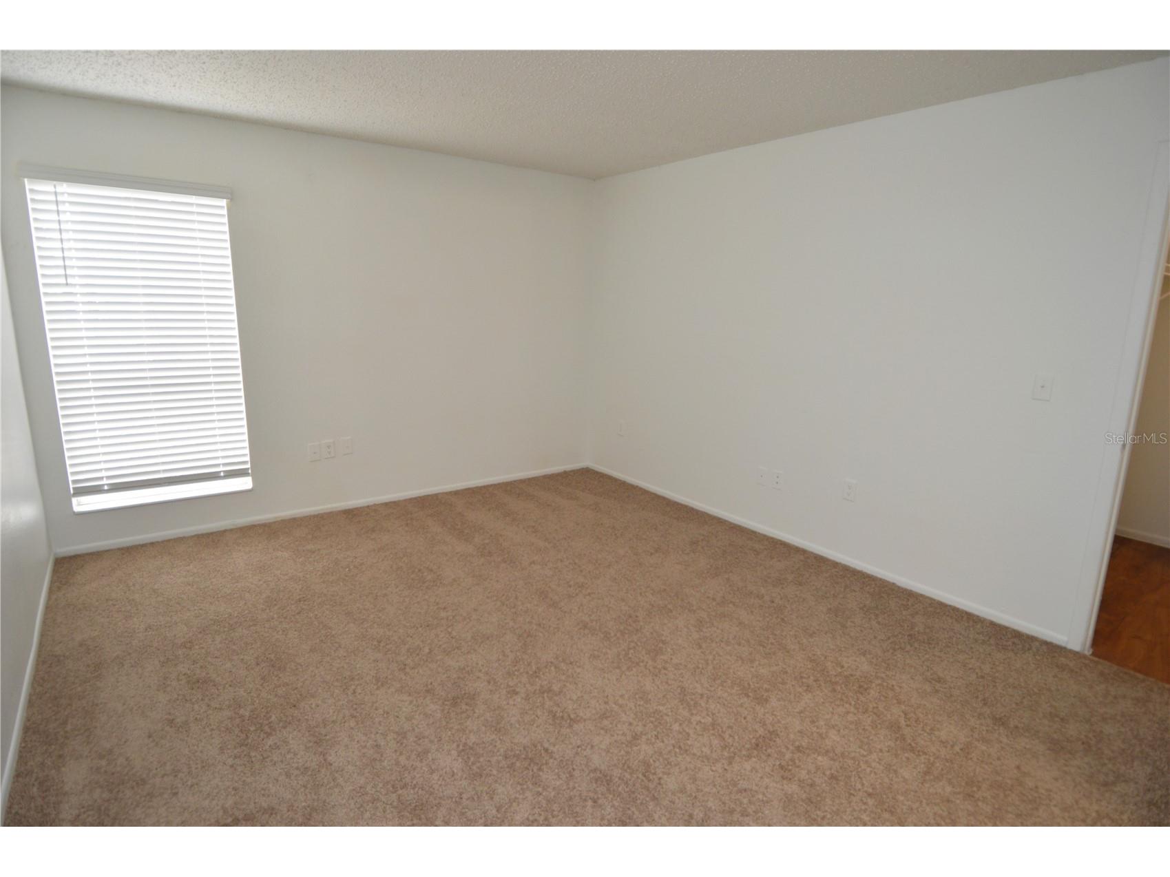 8425 Cerro Circle #163 Tampa FL 33617 TB8496675 image30