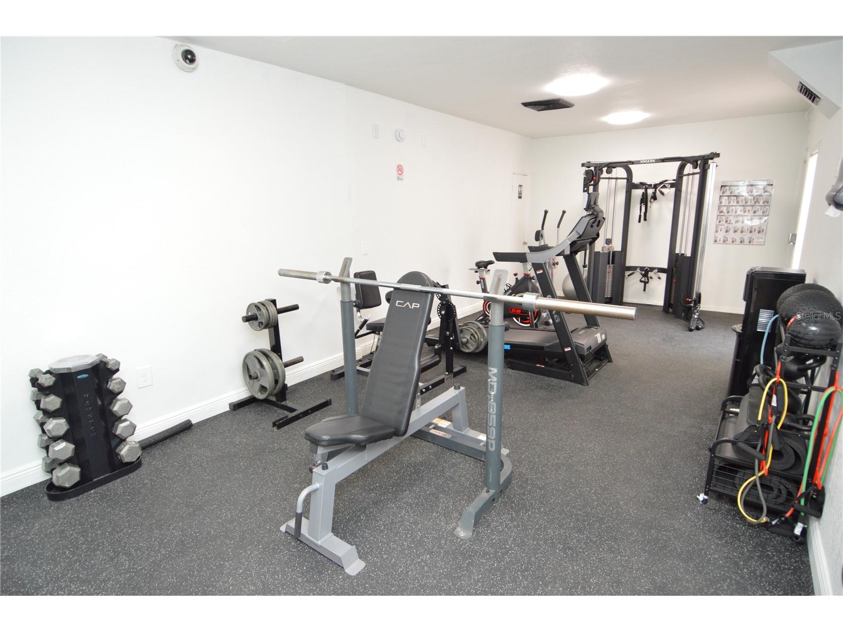 8425 Cerro Circle #163 Tampa FL 33617 TB8496675 image50