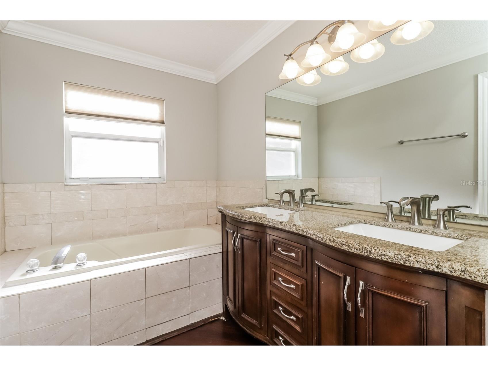 8425 Goldome Drive Port Richey FL 34668 O6397790 image14