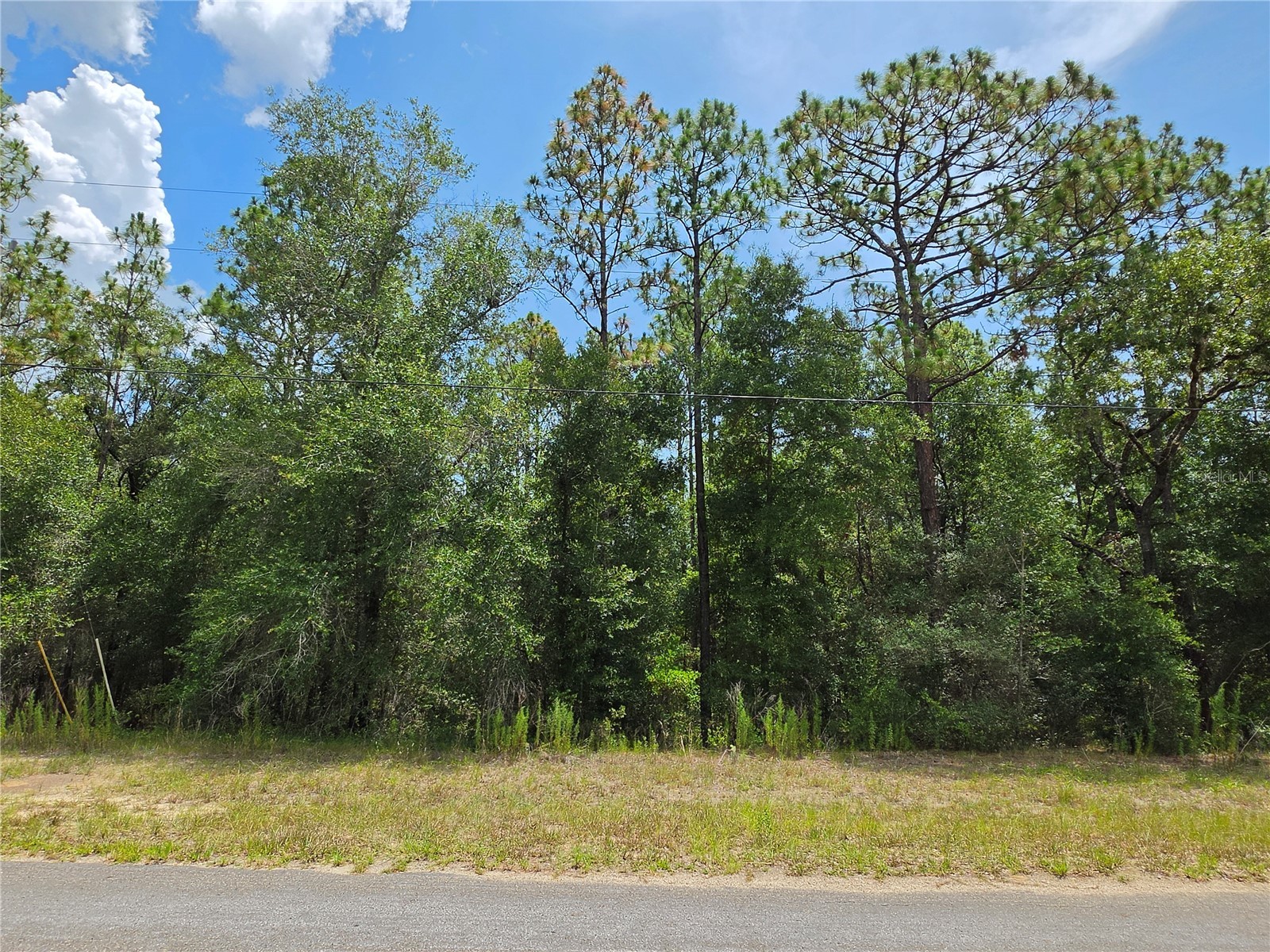 8425 N Foresome Way Dunnellon FL 34434 OM728013 image2