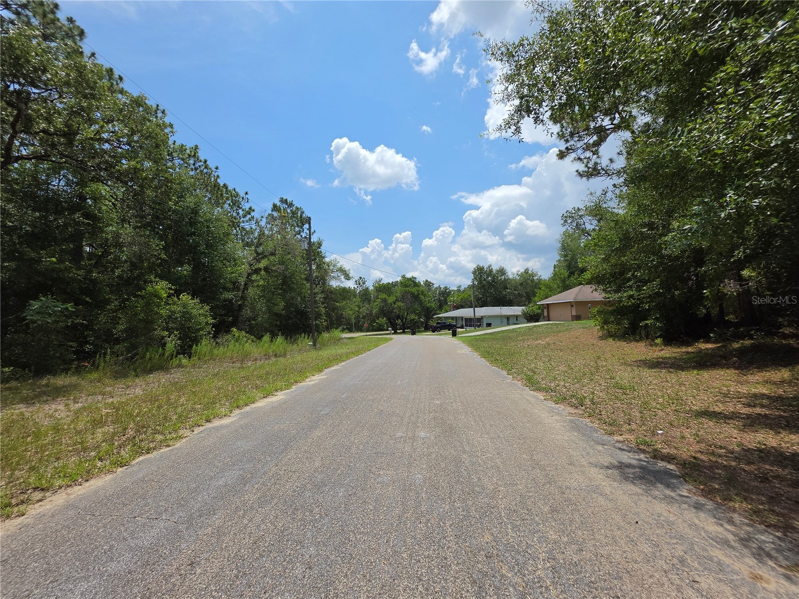 8425 N Foresome Way Dunnellon FL 34434 OM728013 image3