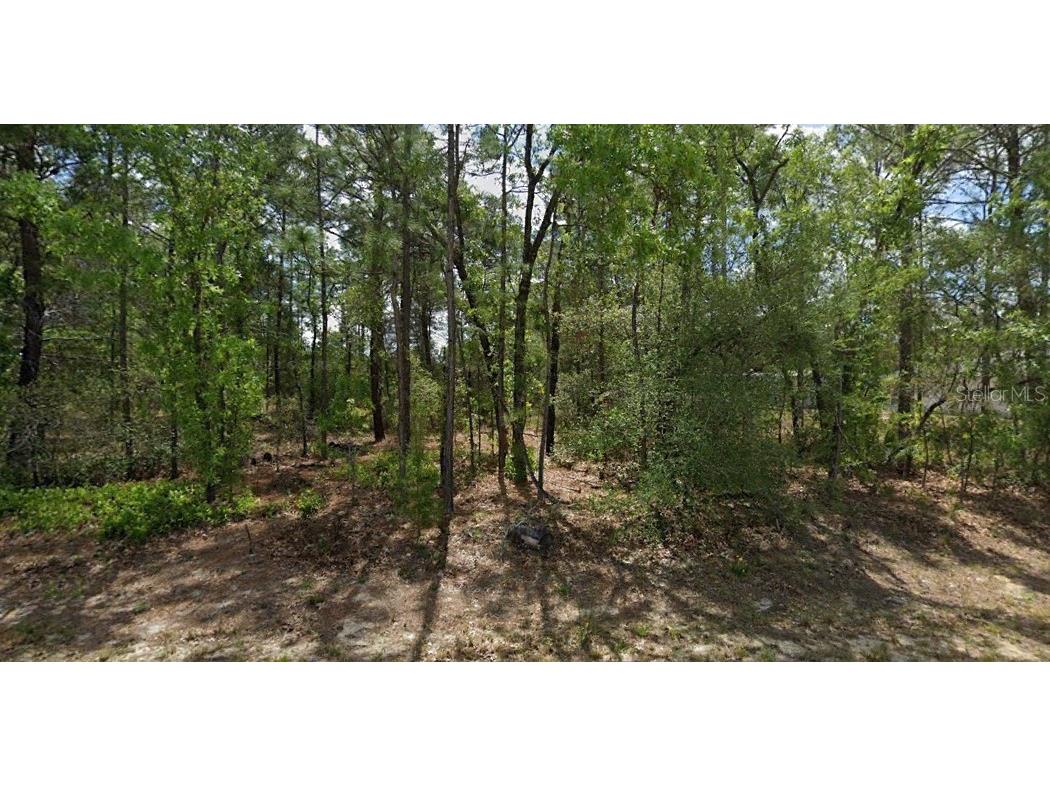 8425 N Legacy Loop Citrus Springs FL 34433 O6242102 image1