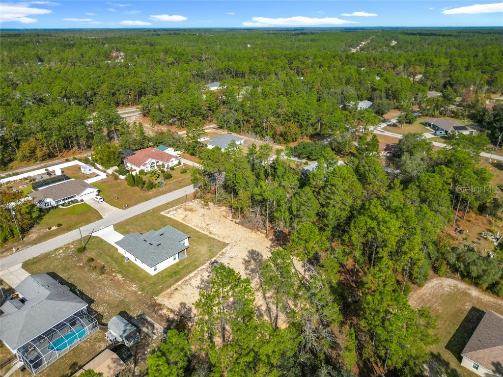 8425 N Legacy Loop Citrus Springs FL 34433 S5139312 image48