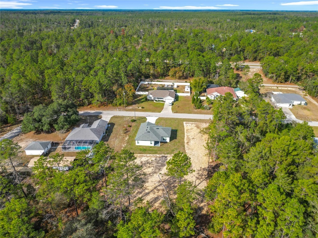 8425 N Legacy Loop Citrus Springs FL 34433 S5139312 image49