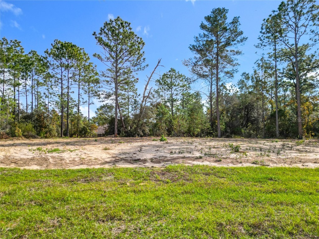 8425 N Legacy Loop Citrus Springs FL 34433 S5139312 image50