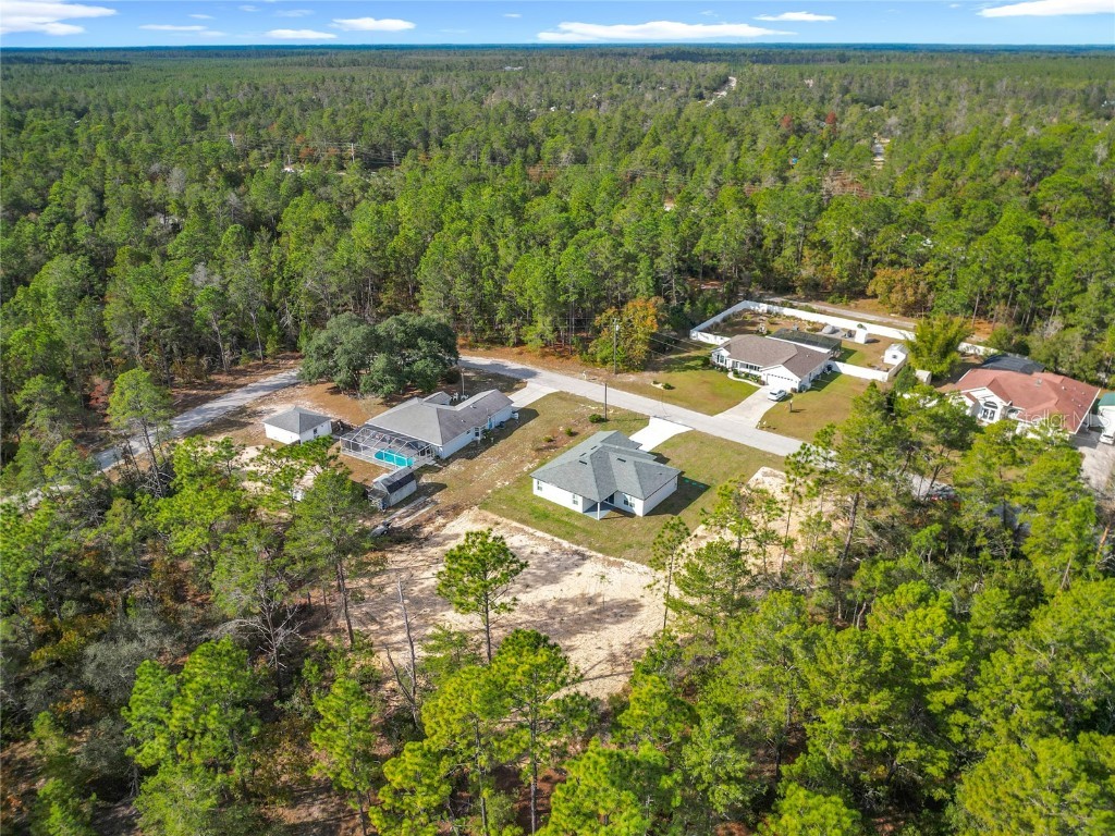 8425 N Legacy Loop Citrus Springs FL 34433 S5139312 image51