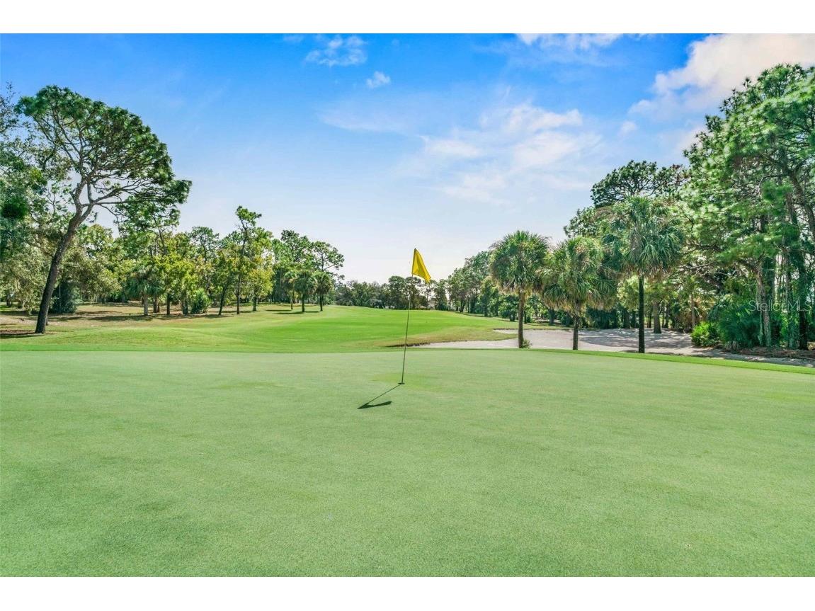 8426 Charleston Drive Weeki Wachee FL 34613 TB8442443 image69