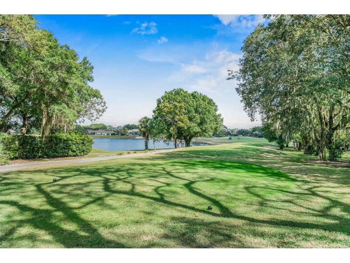 8426 Charleston Drive Weeki Wachee FL 34613 TB8442443 image70