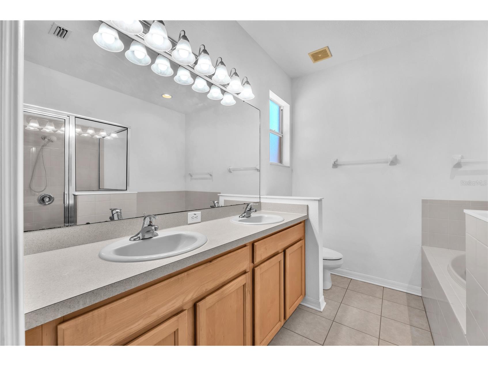 8427 Deer Chase Drive Riverview FL 33578 TB8502209 image14