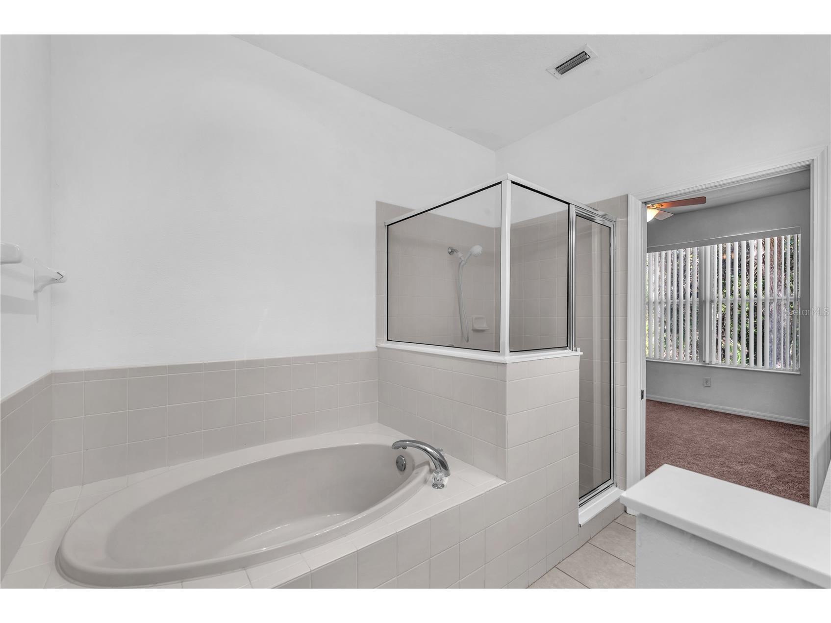8427 Deer Chase Drive Riverview FL 33578 TB8502209 image15