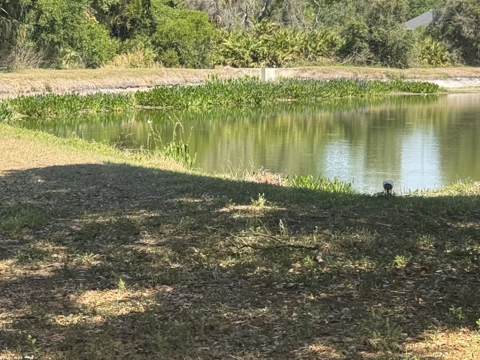 8427 Deer Chase Drive Riverview FL 33578 TB8502209 image20