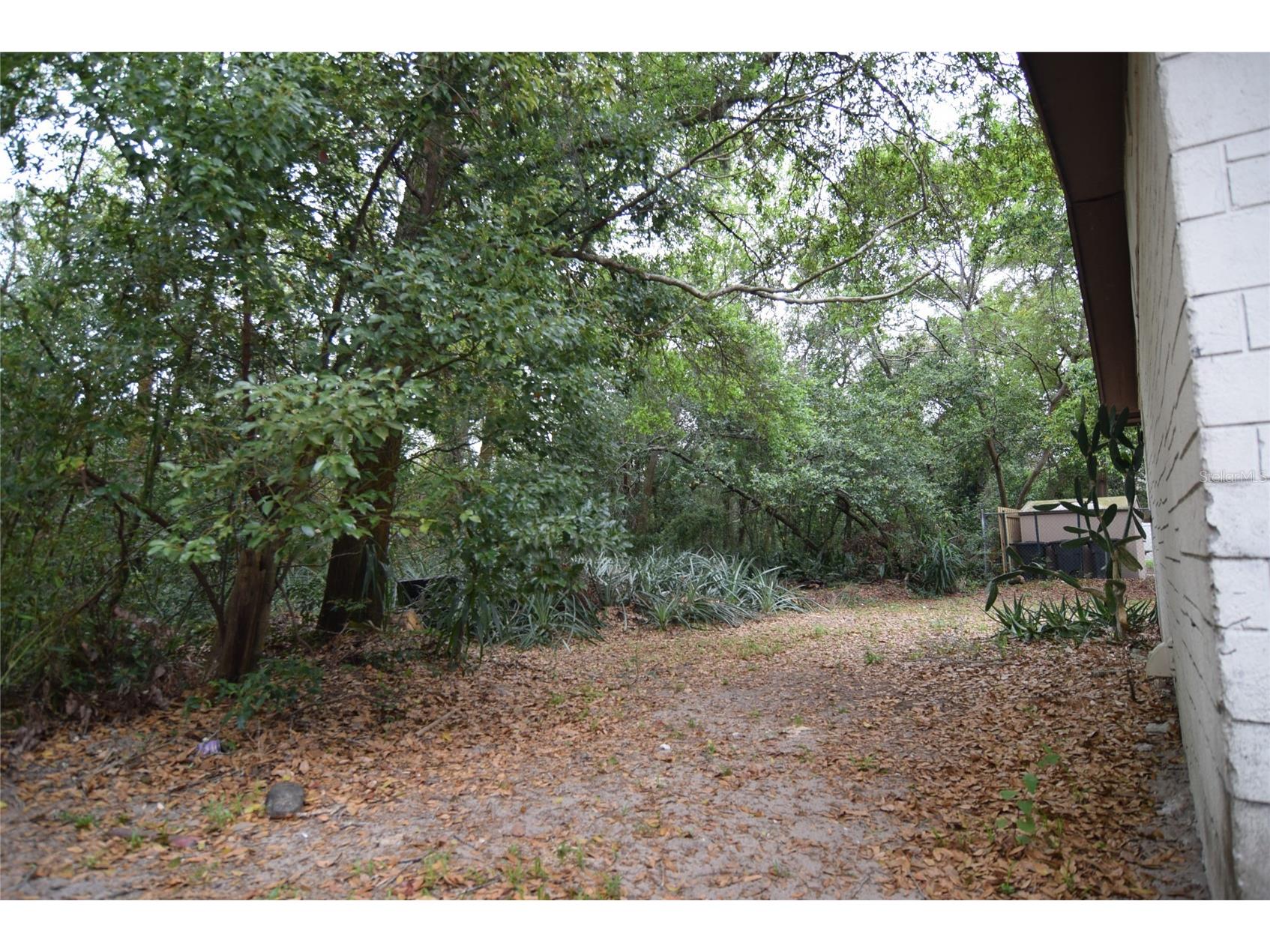 8428 Anay Court New Port Richey FL 34653 TB8450846 image38