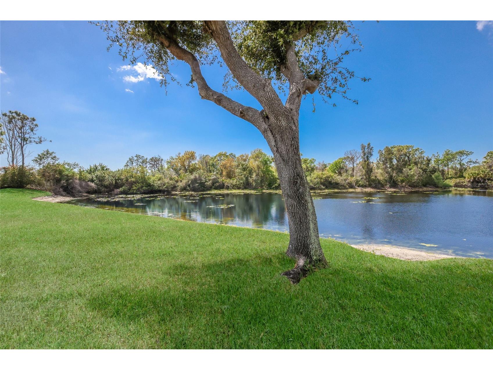 8428 Misty Morning Court Lakewood Ranch FL 34202 A4685923 image34