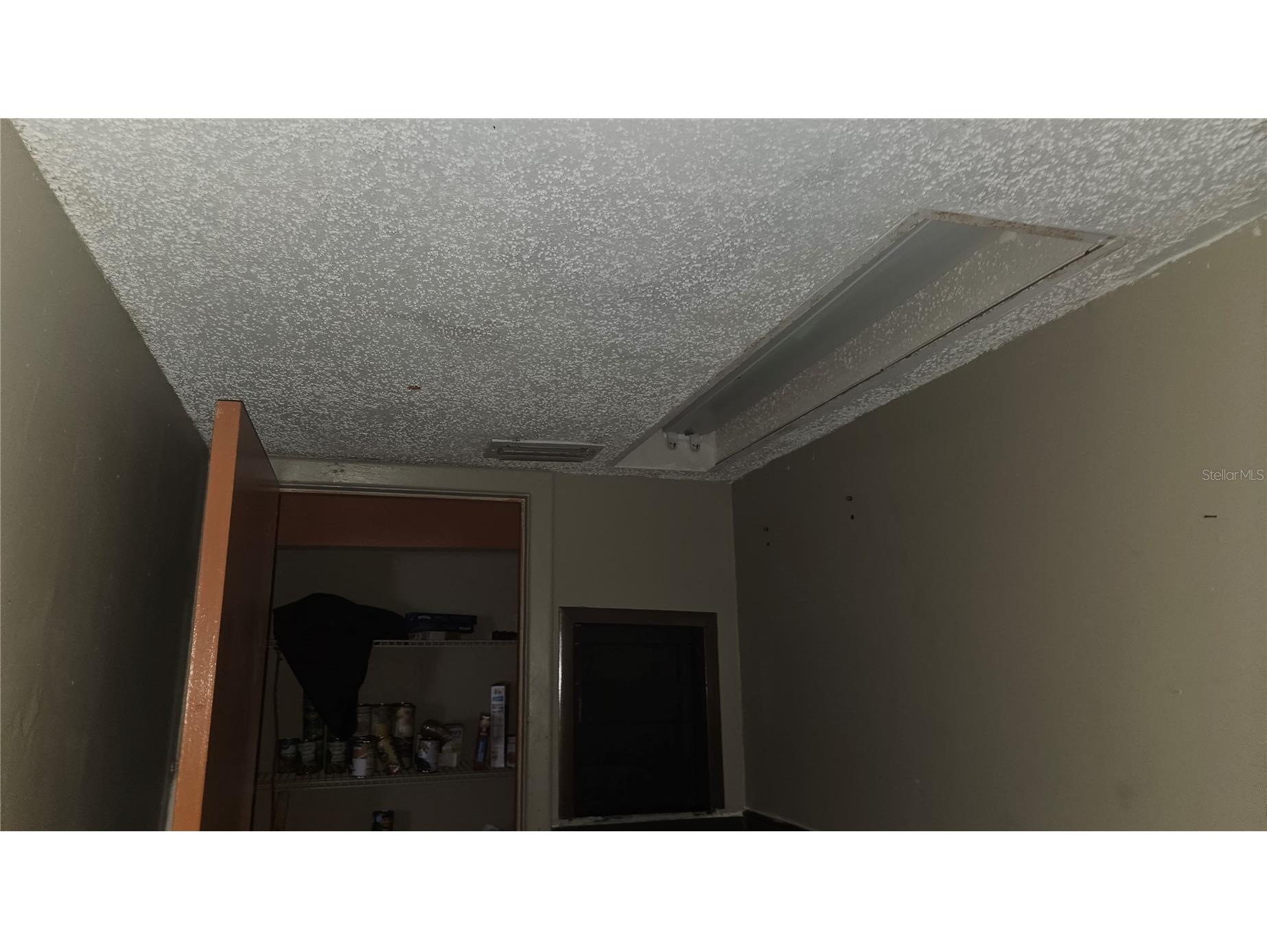 8428 Paxton Drive Port Richey FL 34668 TB8458777 image20